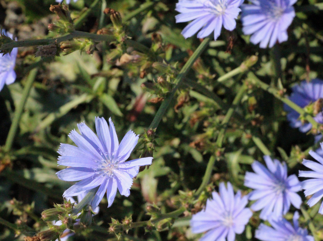 Baldwin Woods Preserve-Weston必去景点