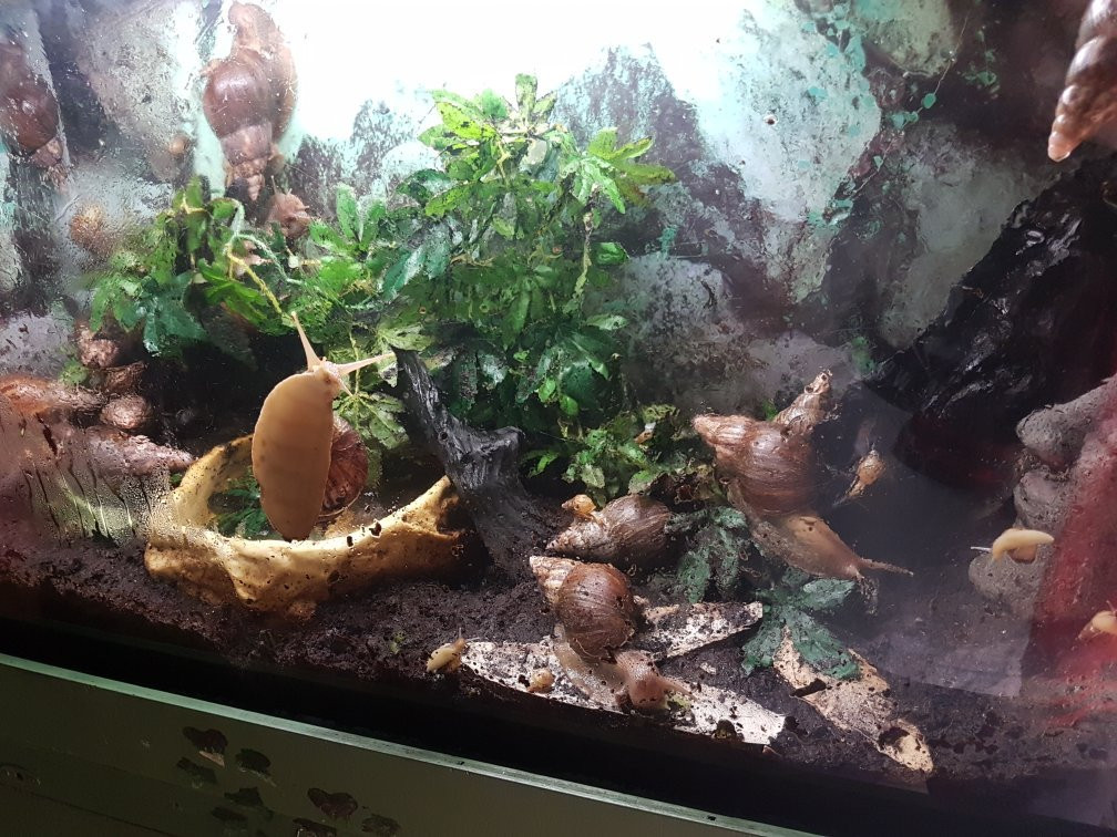 Seaquarium景点图片