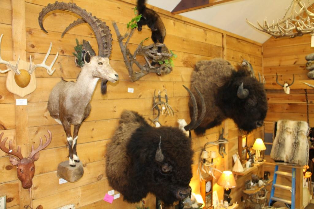 Elizabethtown旅游景点-Adirondack Reflections