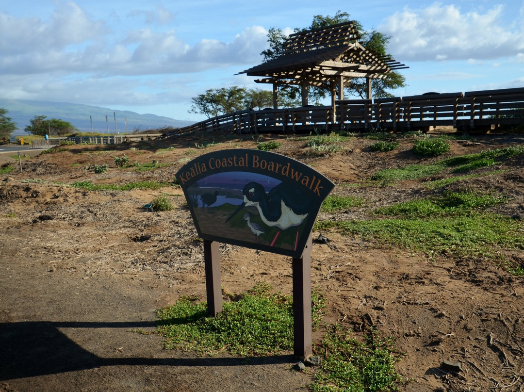Kealia Coastal Boardwalk-基黑必去景点