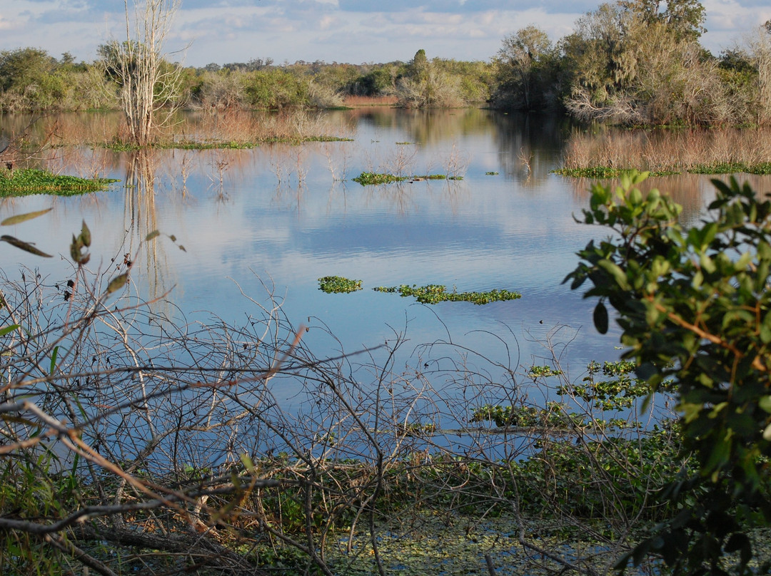 温特黑文旅游景点-Marshall Hampton Reserve