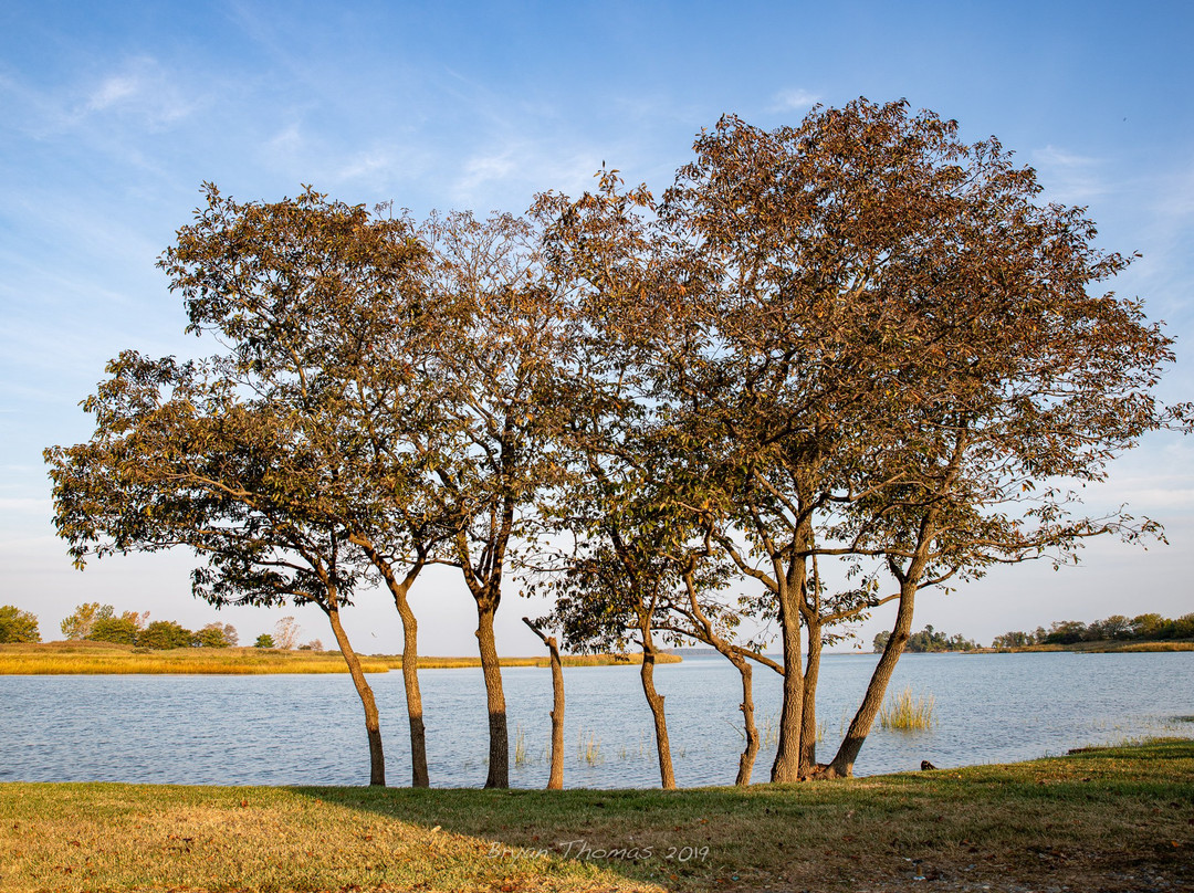 Knapp's Narrows Marina & Inn主图
