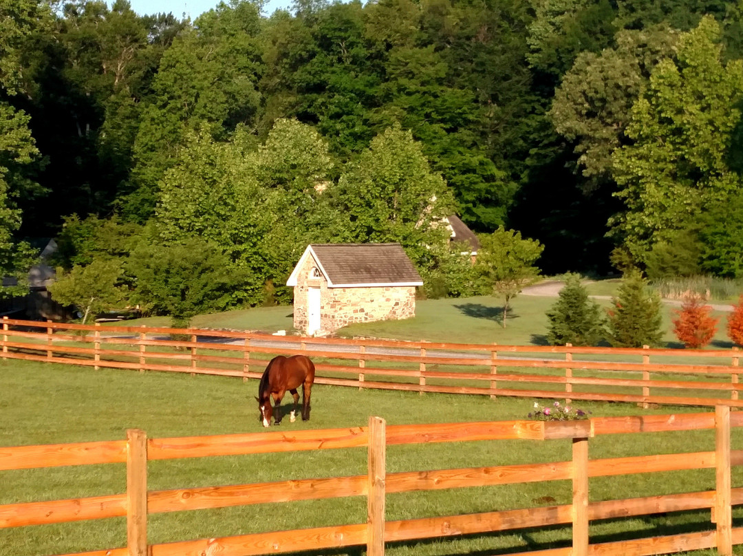 Williamsburg Riding Academy