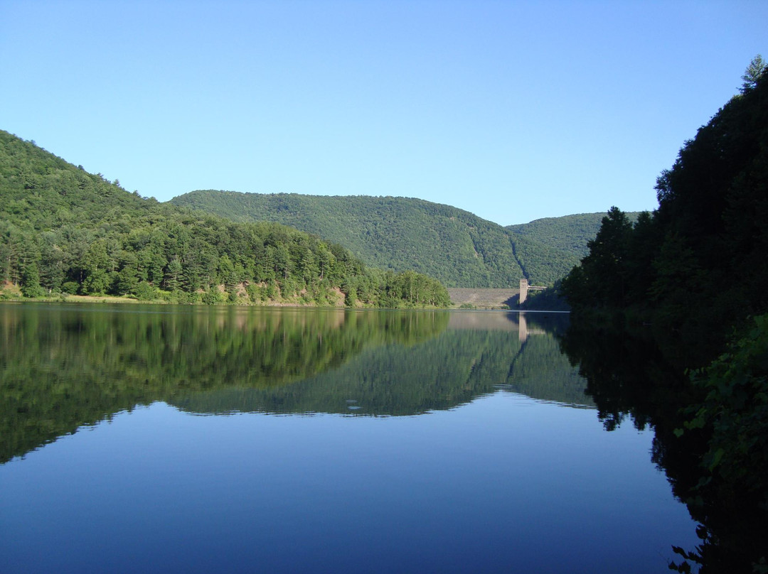 The Wildlife Center at Sinnemahoning State Park景点图片