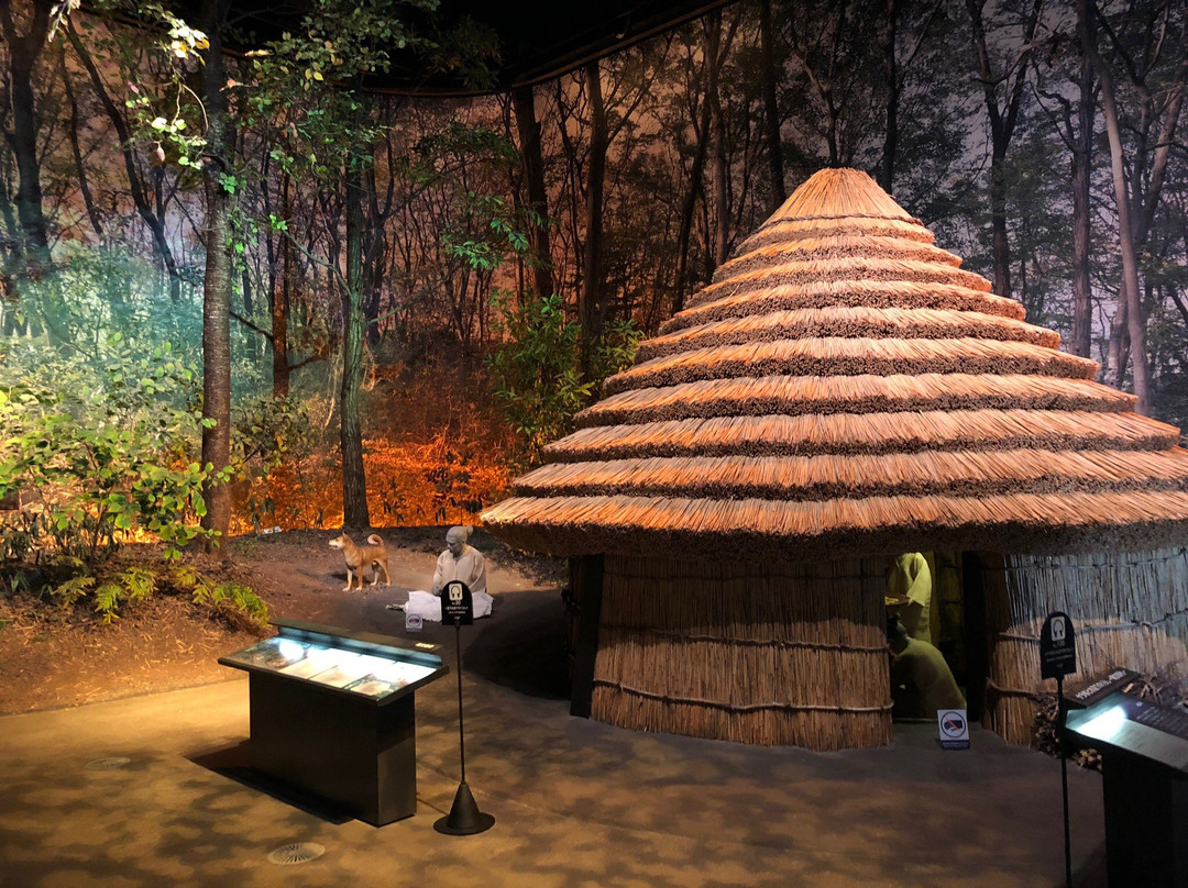 Tohoku History Museum-多贺城市必去景点