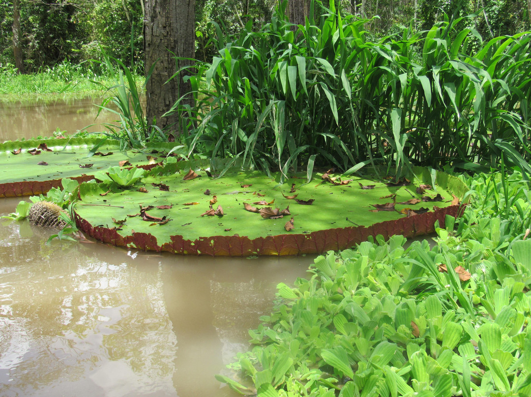 Johmer Expedition Tours-伊基托斯必去景点