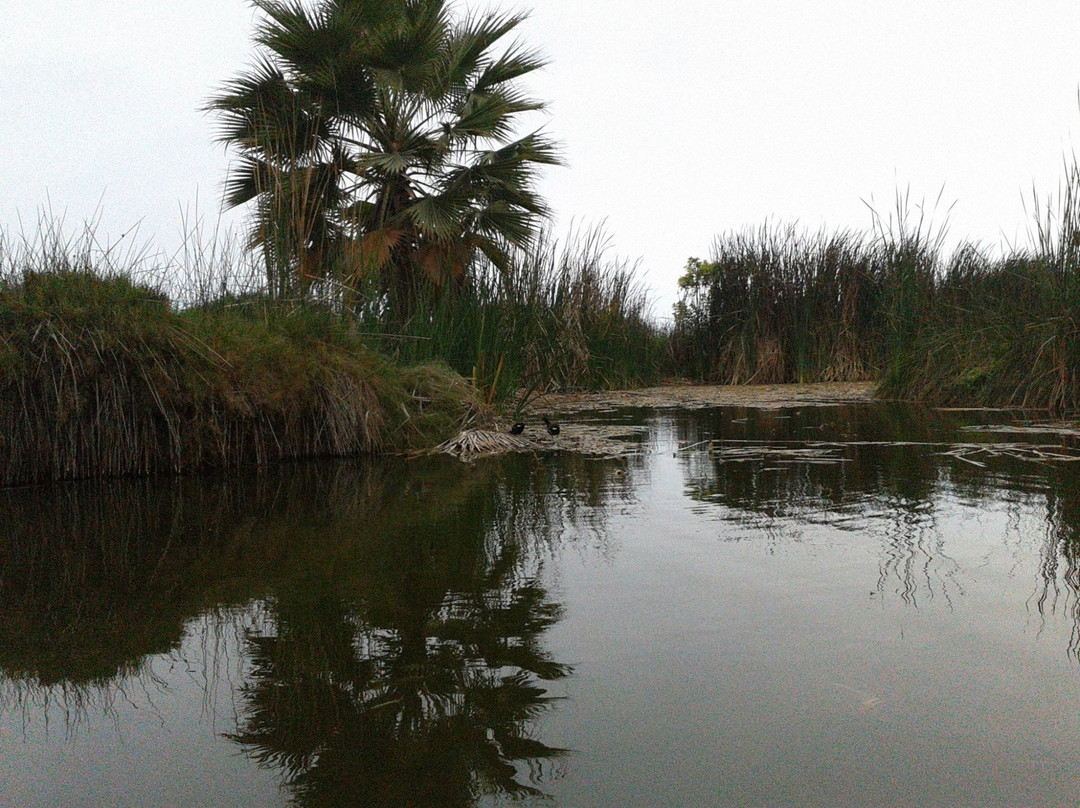 Humedal Pantanos de Villa-利马必去景点