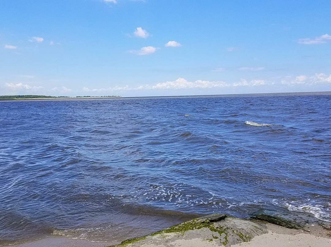 Bowers Beach-Frederica必去景点
