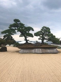 ACAO FOREST-热海市必去景点