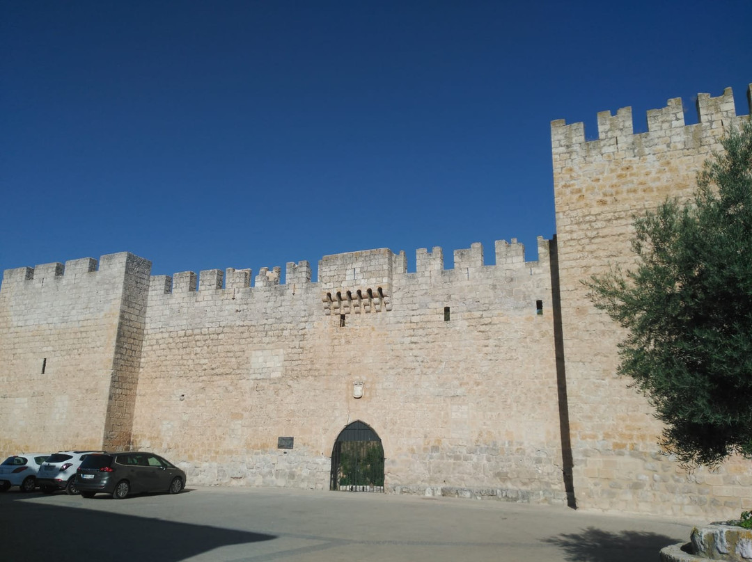 Castillo - Palacio de los Zuniga景点图片