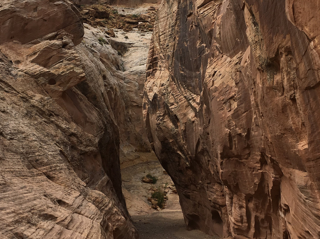 Little Wild Horse and Bell Canyon Trail-格林河必去景点