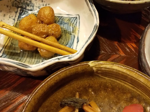 飞騨路传统日式旅馆主图