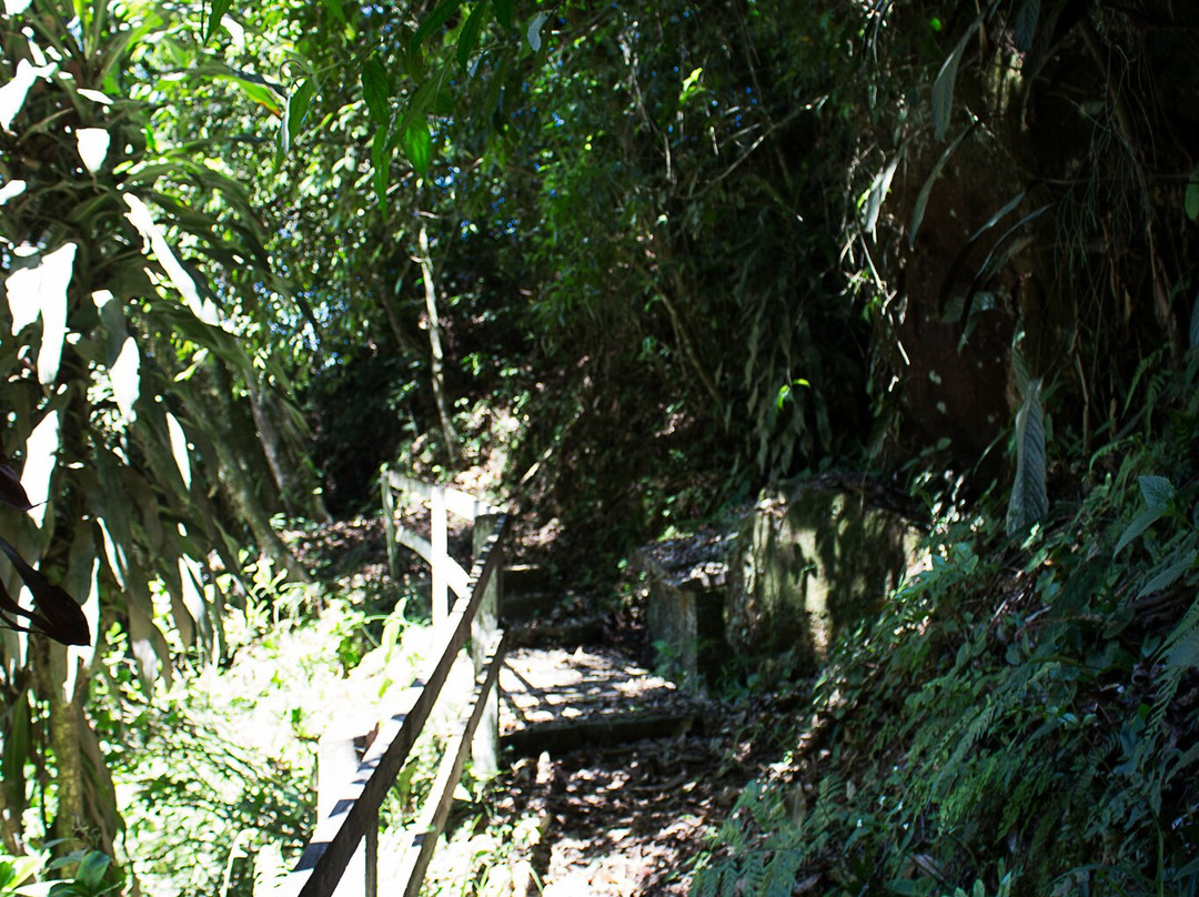 Gruta de Nossa Senhora de Lourdes景点图片