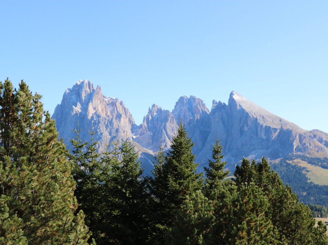 Alpe di Siusi景点图片