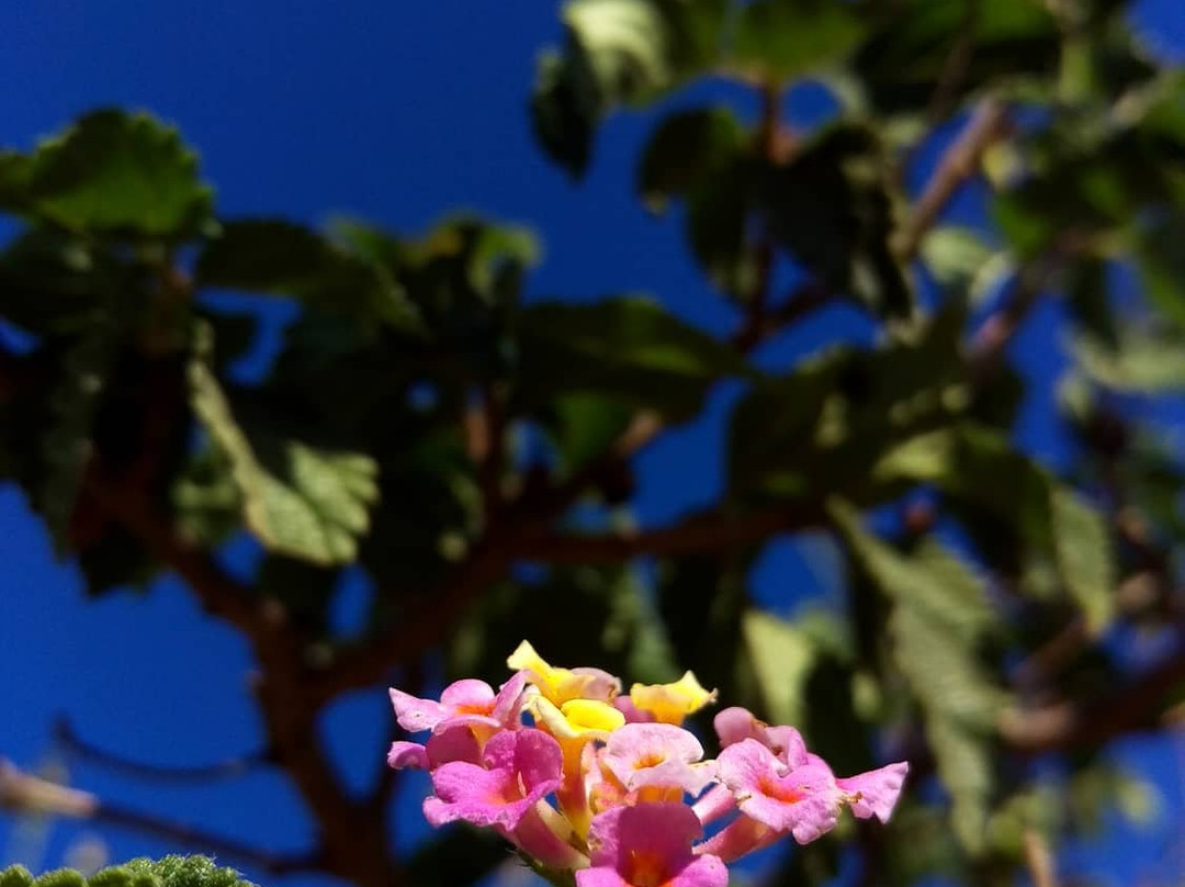 Biotopoi Nature Park-雷斯蒙必去景点