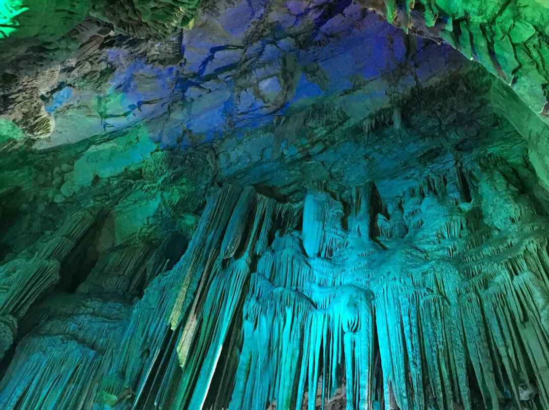 Cave St Michel-谢河畔科尔德必去景点