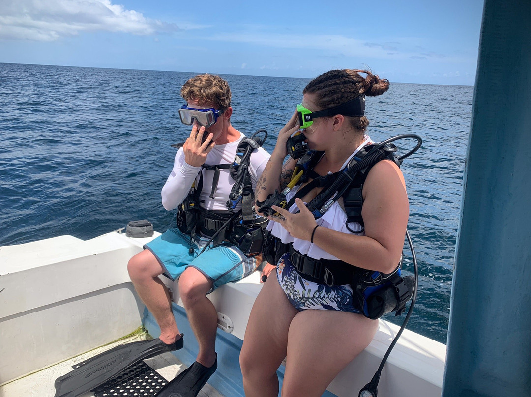 Wild Turtle Scuba Tobago Ltd.-Bon Accord必去景点