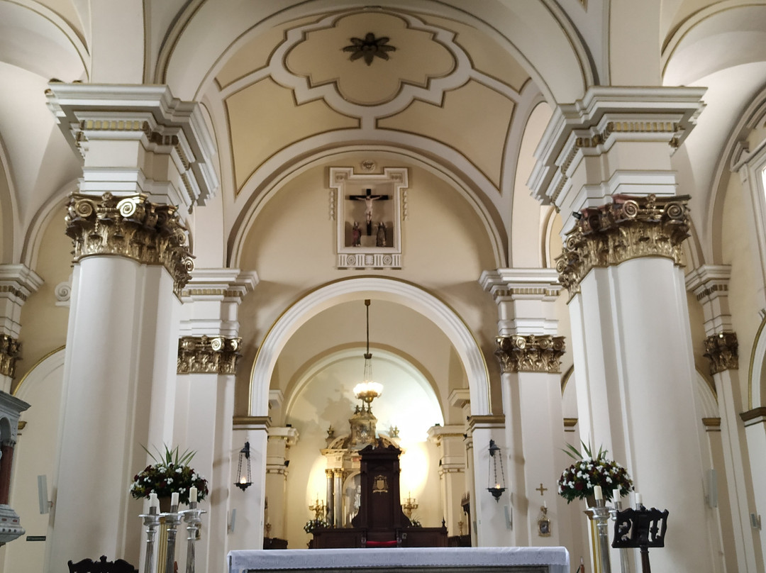 Plaza de Bolivar-佩雷拉必去景点