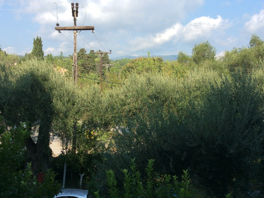 Elea Beach Hotel主图