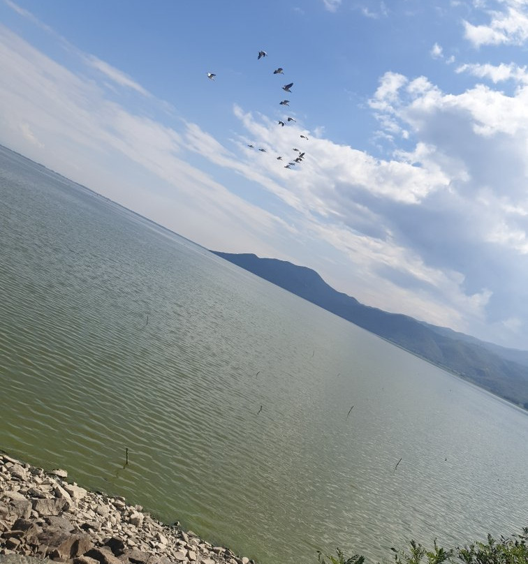 Kerkini Lake景点图片
