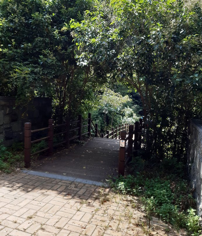 Mudeungsan National Park景点图片