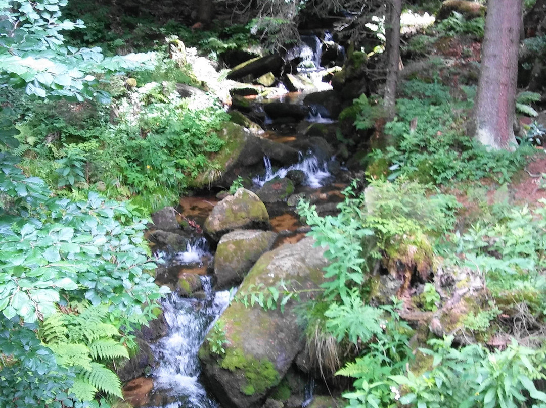 Karkonoski National Park景点图片