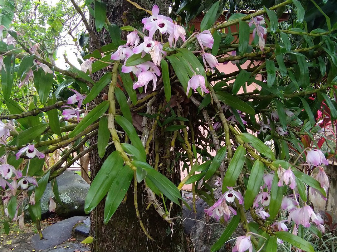 Pousada Recanto Passarela