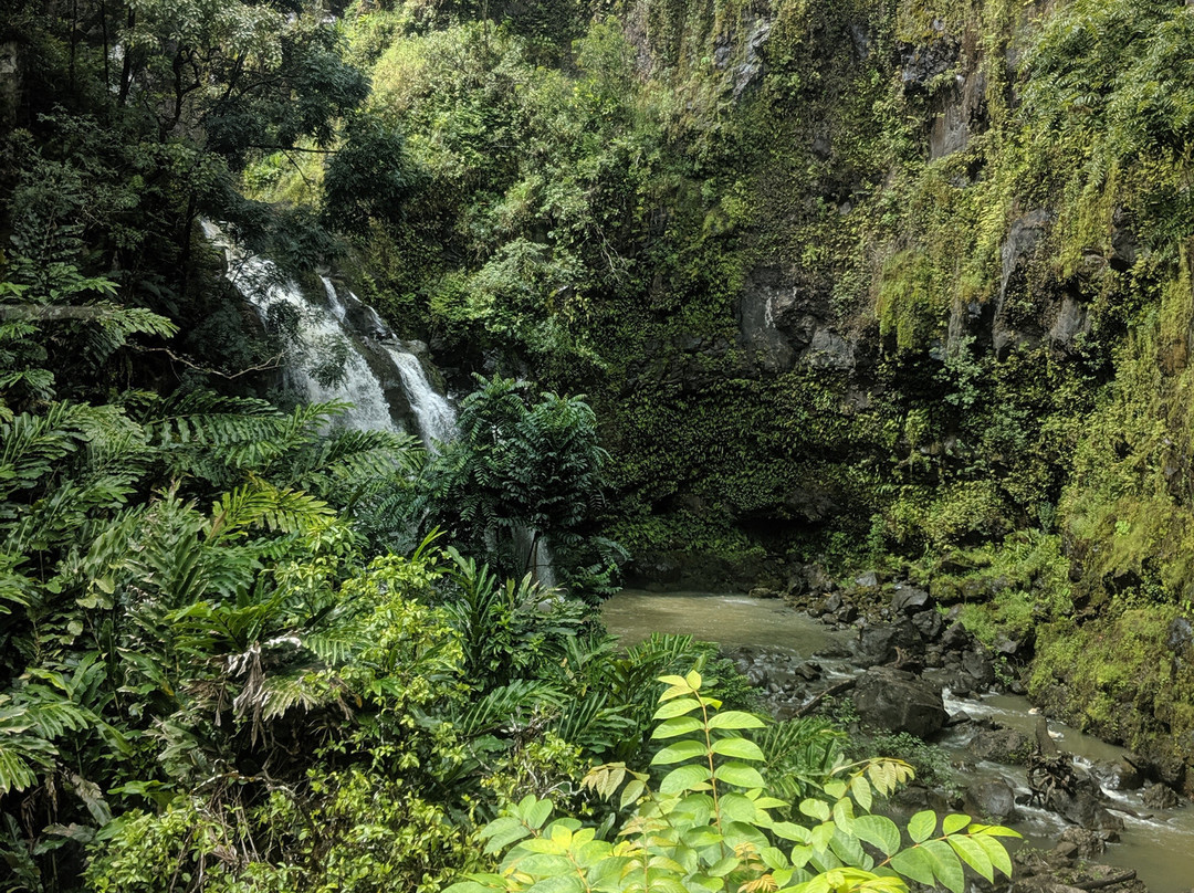 Dynamic Tour Maui-怀露库必去景点