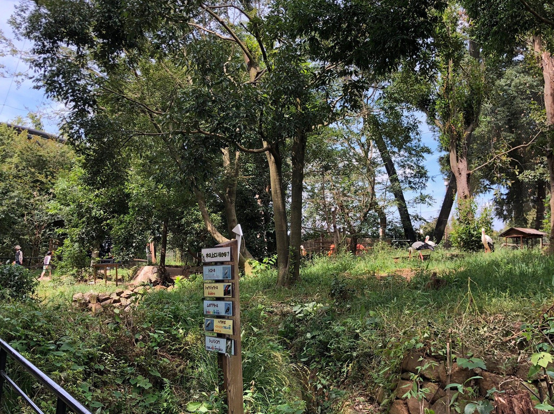 Ichikawa City Zoo-市川市必去景点