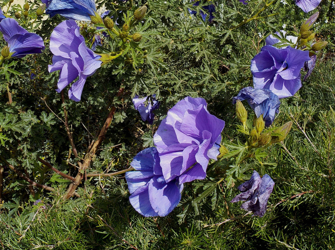 Alphington park-Alphington必去景点