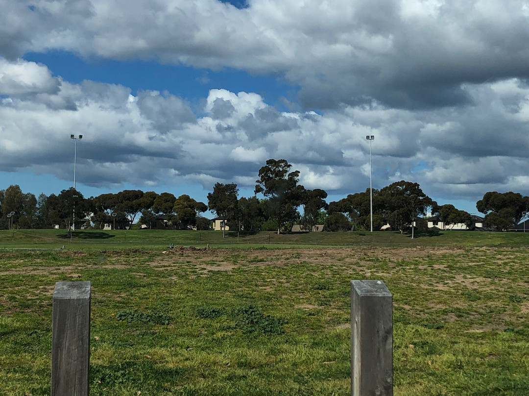 Braybrook Park景点图片