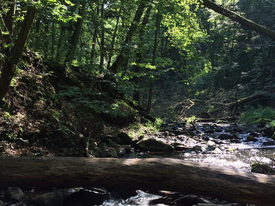 Skryje旅游攻略图片