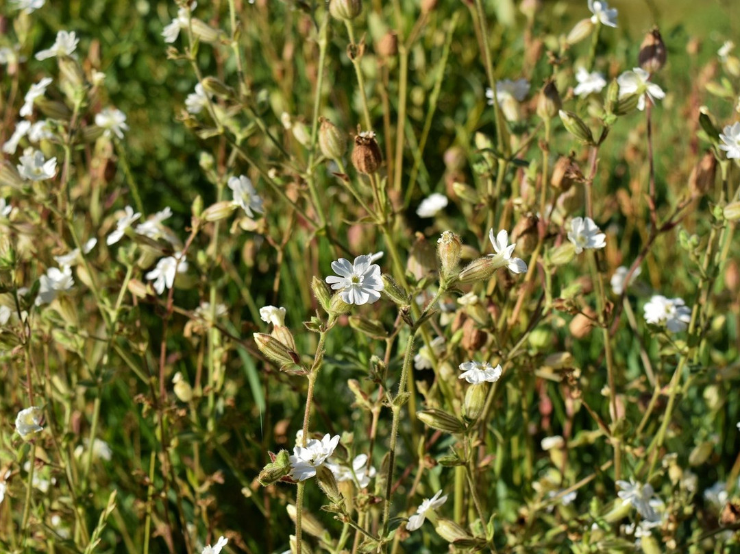 Bridal Veil Falls-落基山国家公园必去景点