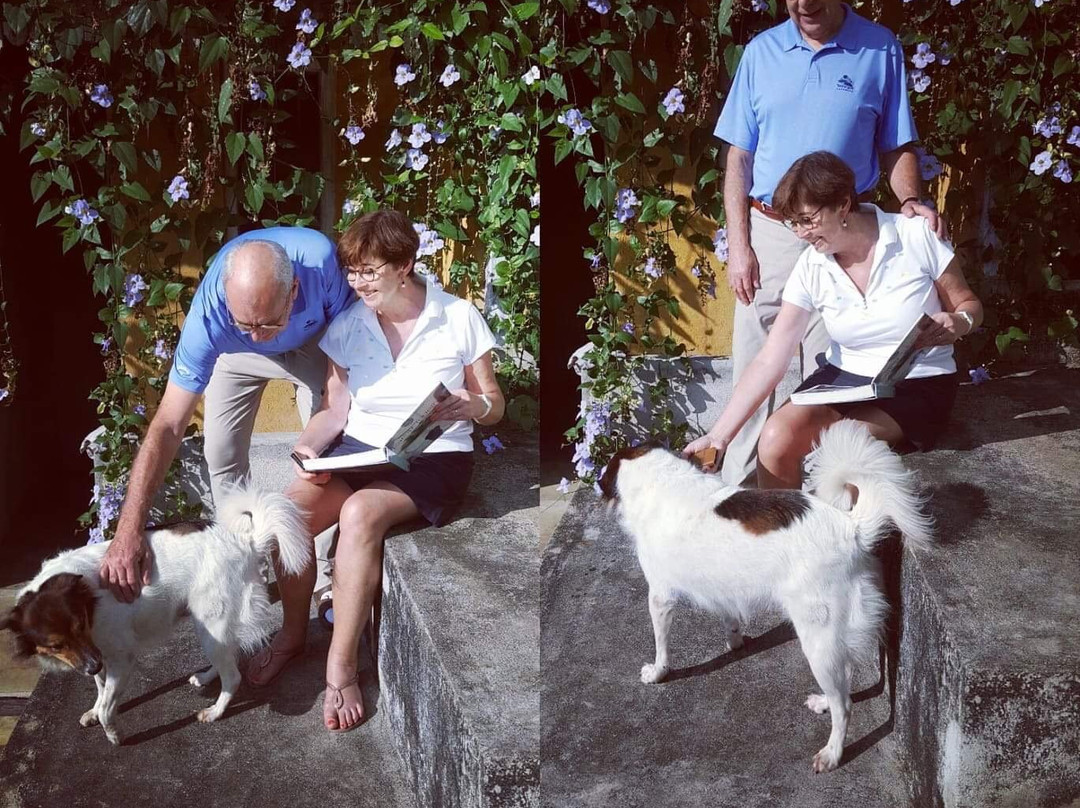 城市城堡民宿主图