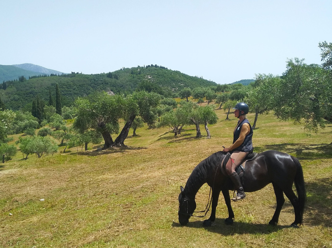 Carolina's Holiday Horses-Skripero必去景点
