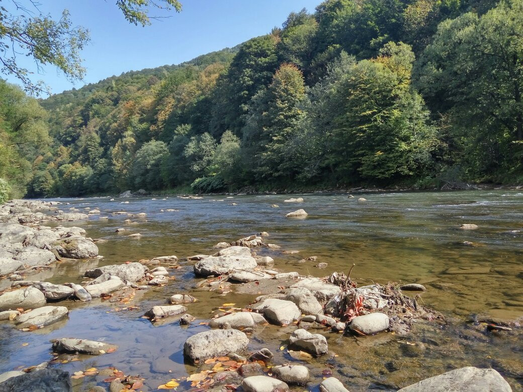 Carpathian Biosphere Reserve景点图片