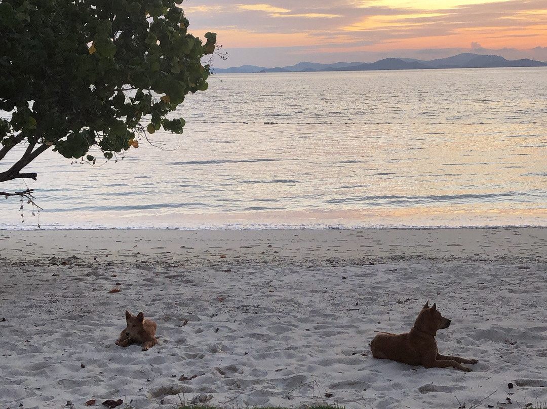 艾力克赛尔度假村主图