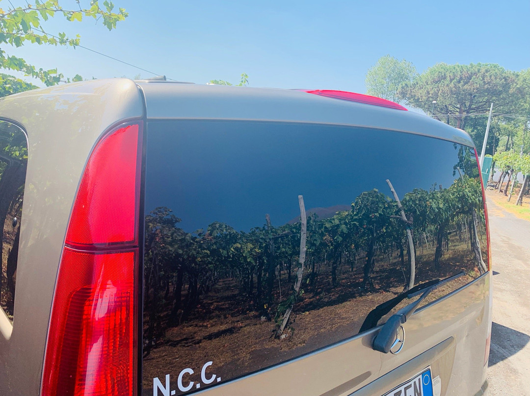 Enjoy Sorrento Limo-马萨卢布伦塞必去景点