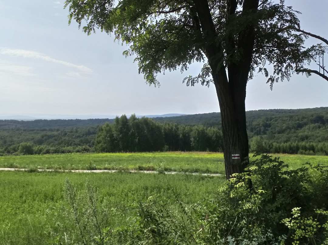 Pogorze Przemyskie Landscape Park景点图片