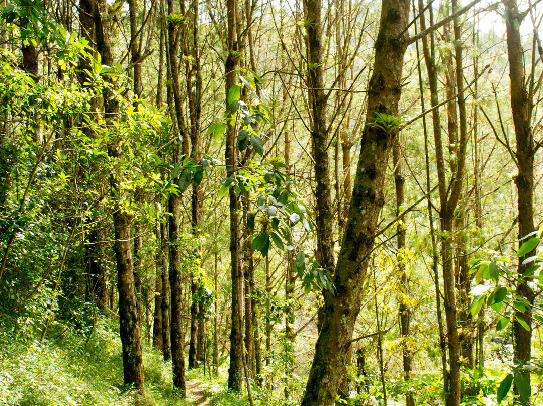 Ulbilla Hosteria主图