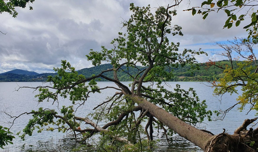 Gaestehaus Klaus主图