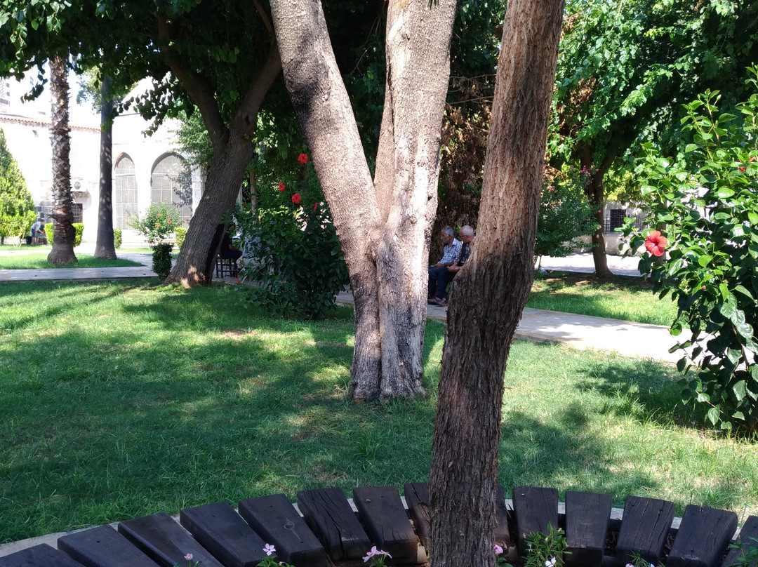 Ziyapaşa Parkı-Adana必去景点