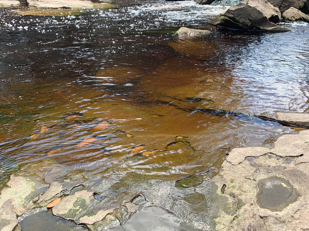 Popokvil Waterfall-贡布必去景点