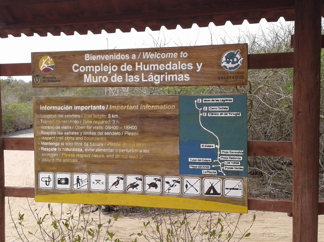 Isabela Island Wetlands Complex景点图片