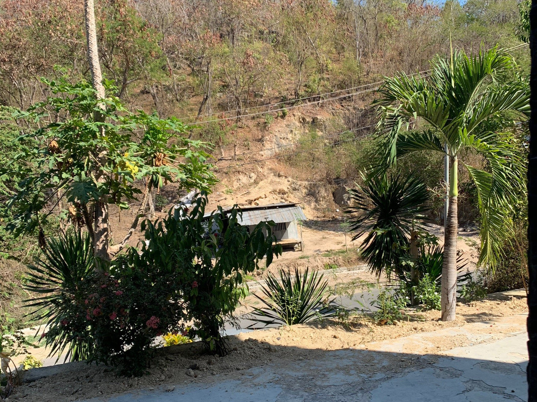 CF Komodo Hotel主图