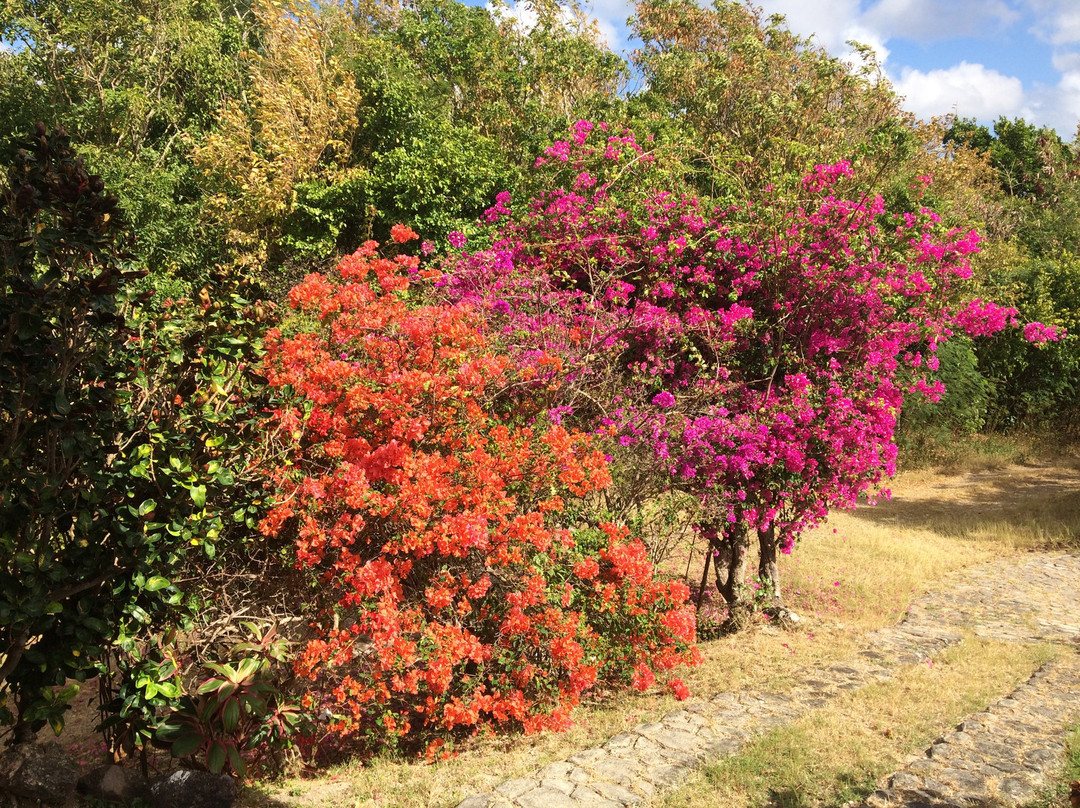 Treetops Villa Guest House主图