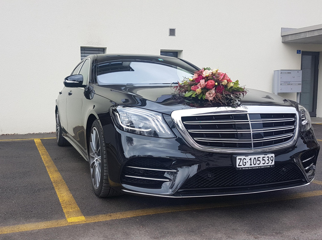 EdelSwiss Limousine Service-苏黎世必去景点