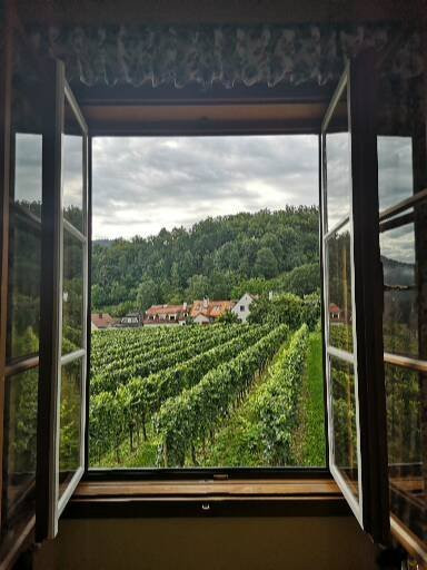 Hotel Garni Weinberghof & Weingut Lagler主图