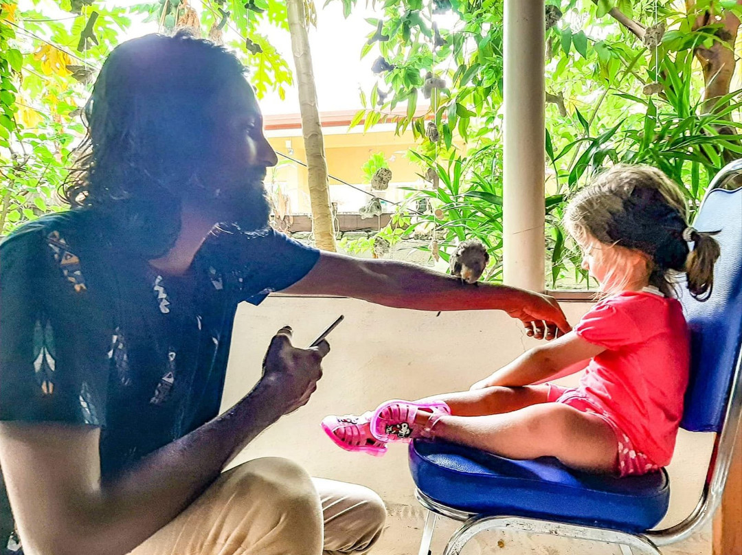 Island Pavilion主图