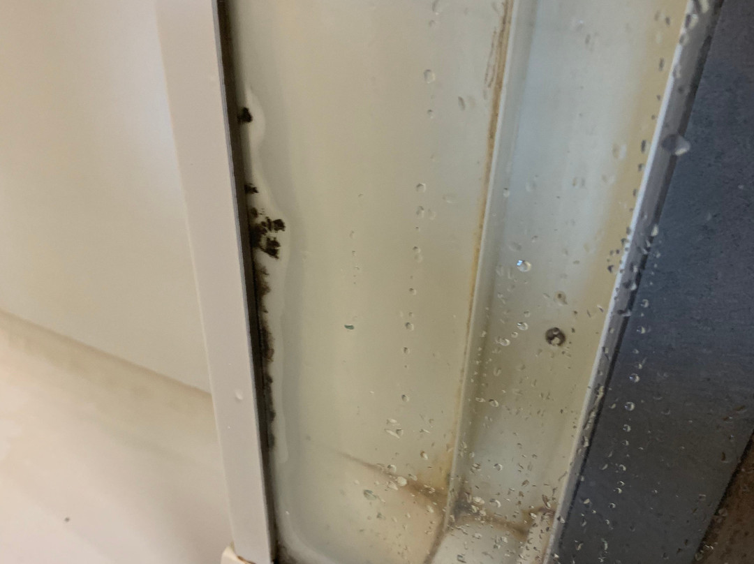 Bendigo Homestead Motor Inn & Apartments主图